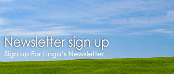 Linga - Newsletter