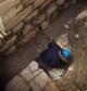 Byzantine-era street uncovered in Jerusalem