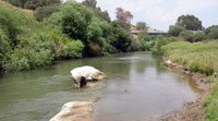 European Parliament concerned at state of Jordan River