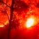 Disaster in the North: 40 dead as fire rages across Carmel Mountains